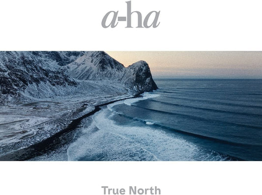 a-ha True North - Ireland Vinyl