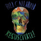 Bill Callahan Resuscitate LP 