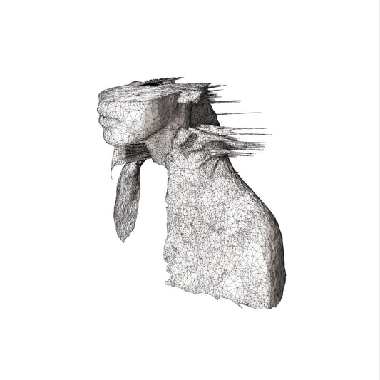 Coldplay A Rush of Blood to the Head  (140g Black EcoRecord)