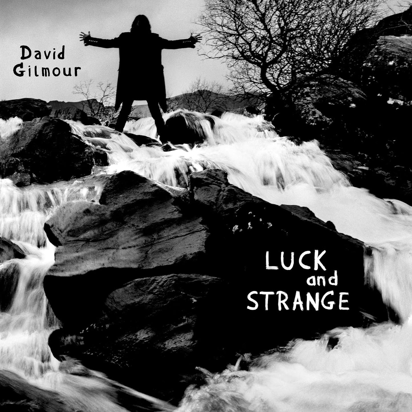 David Gilmour Luck And Strange (LIMITED SILVER LP)