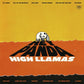 High Llamas Hey Panda - Ireland Vinyl