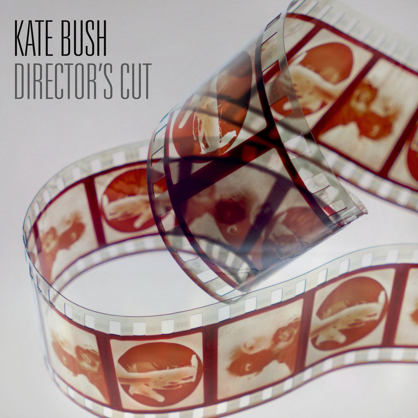 Kate Bush - Director's Cut - 2LP (Fish People Edition) - Ireland Vinyl