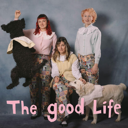 My Ugly Clementine The Good Life - Ireland Vinyl