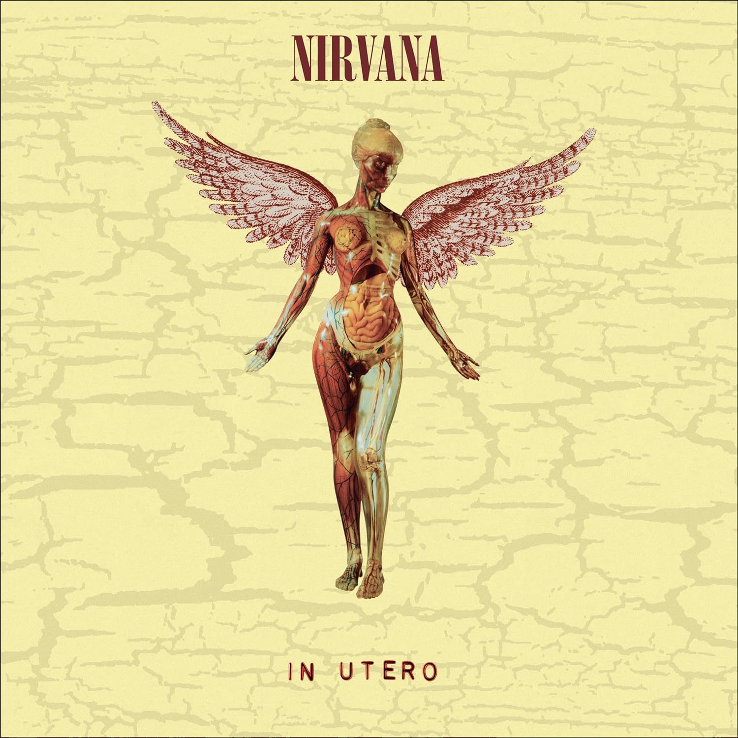 Nirvana In Utero 8 LP Deluxe - Ireland Vinyl