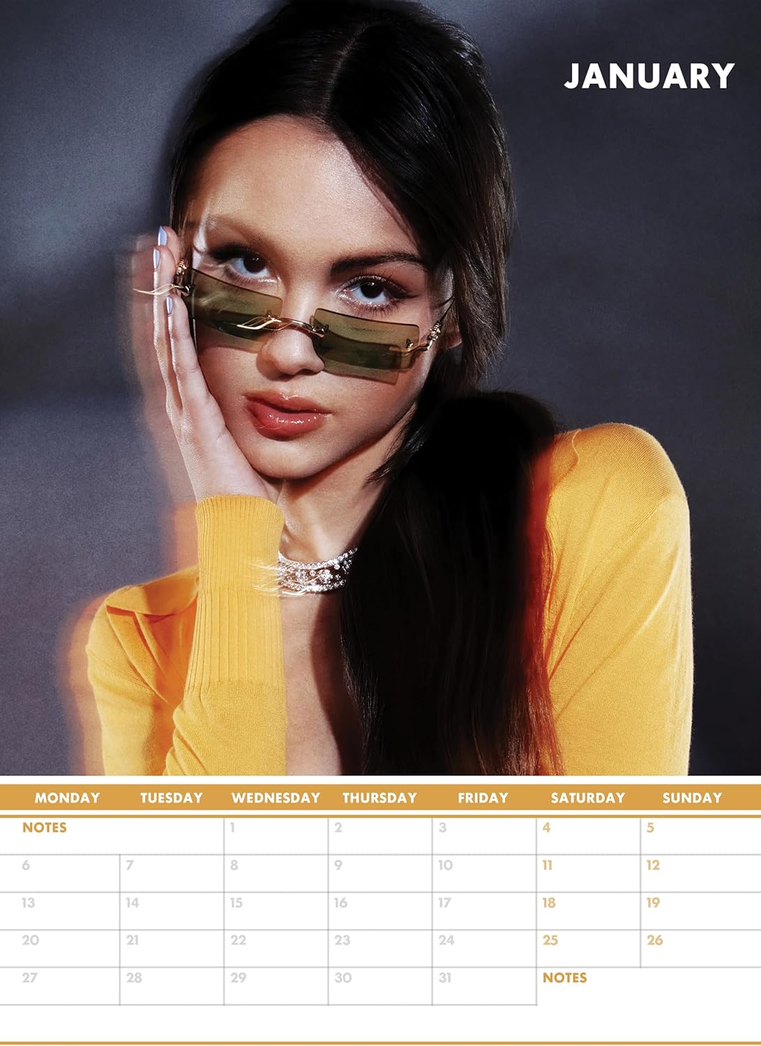 Olivia Rodrigo 2025 Calendar ireland