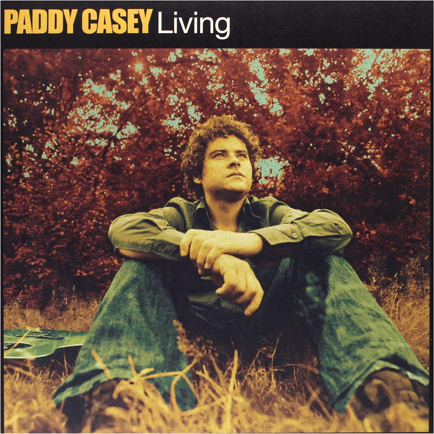 Paddy Casey Living 20th Anniversary LP - Ireland Vinyl