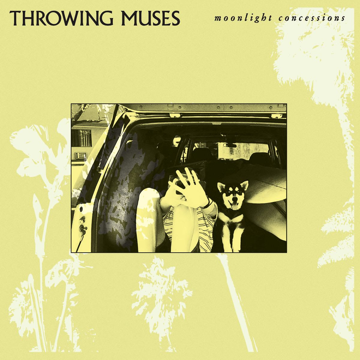 Throwing Muses Moonlight Concessions