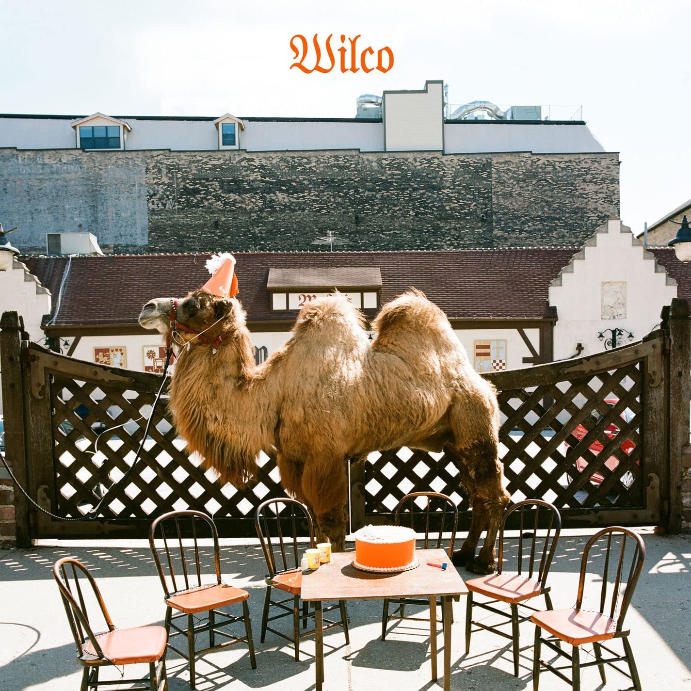 Wilco (The Album) Picture Disc - Ireland Vinyl