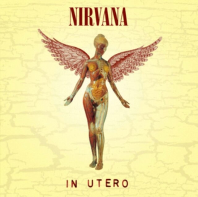 Nirvana's final studio album on Vinyl, produced by Steve Albini, featuring Heart Shaped Box, Dumb & All Apologies. 