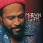 Marvin Gaye Collected - Ireland Vinyl